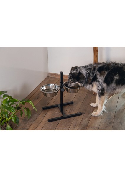 Yzlal Beeztees Köpek Ikili Mama Su Kabı, Ayaklı, Paslamaz Çelik, 25CM, 2x2,5l modelleri