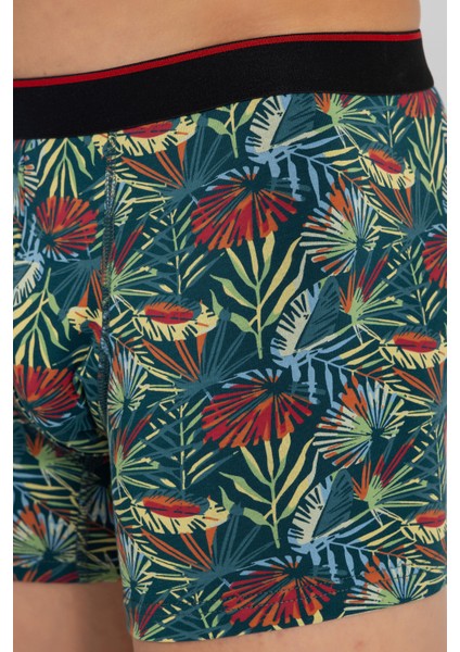 Erkek Desenli Likralı Pamuklu Desenli Boxer 1414 Yeşil fırsatları