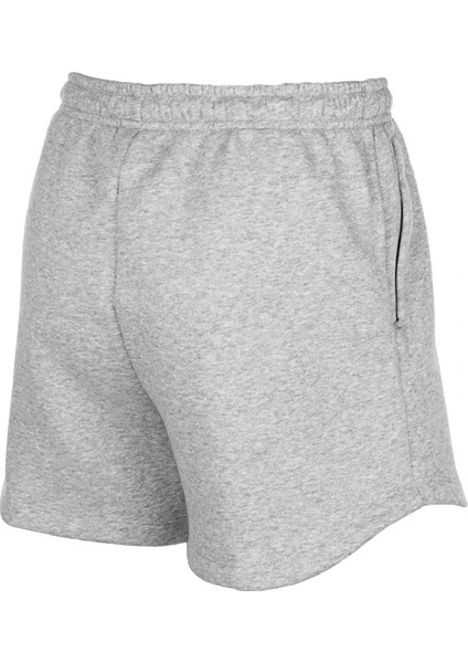 Team Park 20 Gri Kadın Şort - CW6963-063 fiyatları