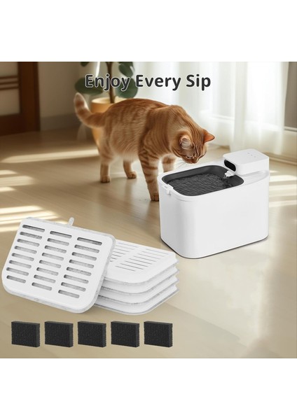 Kedi Su Çeşmesi Filtresi Eversweet Max Akülü 105FL Oz/3l Pet Kedi Su Çeşmesi Filtre Süngerleri Yedek 5 + 5 (Yurt Dışından) modelleri