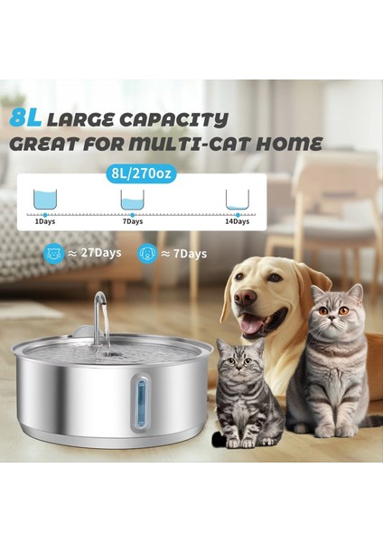 8l Büyük Kapasiteli Paslanmaz Çelik Kedi Su Çeşmesi Pet Su Sebili Filtre ile Köpek Içme Çeşmesi Kediler Için (Yurt Dışından) indirimleri