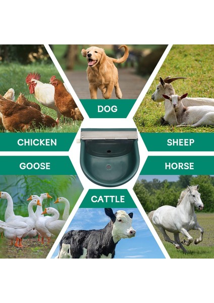 Otomatik Su Suluk Çiftlik Hayvanları Su Besleyici Inek Içme Aracı Koyun Keçi Besleme Hayvancılık Malzemeleri (Yurt Dışından) indirimleri