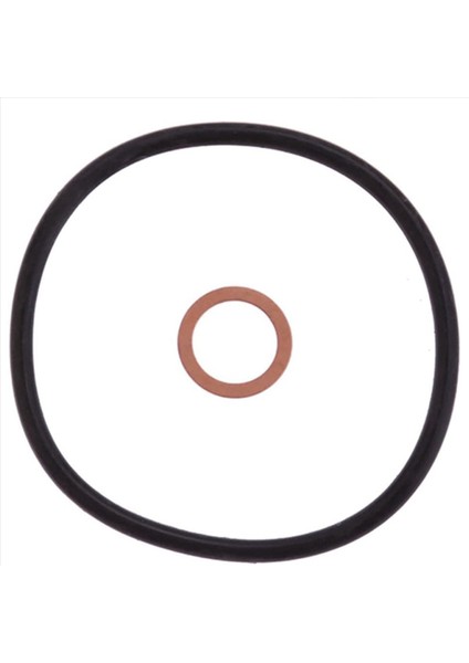 11427622446 Bmw Mini Cooper Için O-Ring ile 12 Motor Yağı Filtrat Seti (Yurt Dışından) modelleri