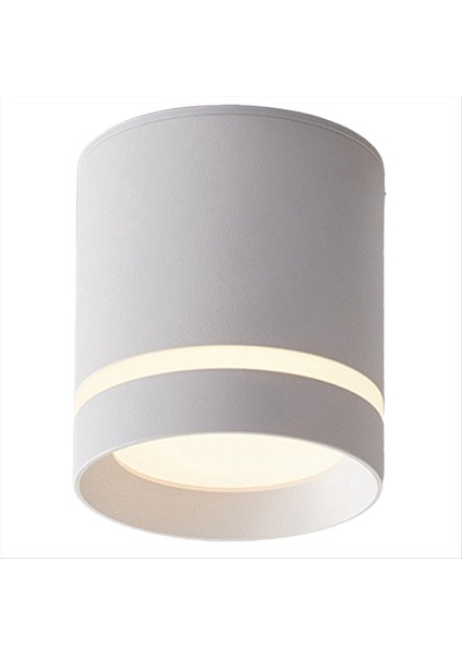 LED Düşük Spotlıght Tavın Işık Spotlıght 220V 12W Yüzey Mount Bağlanması Açık Beyaz (Yurt Dışından) fiyatları