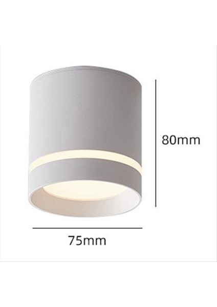 LED Düşük Spotlıght Tavın Işık Spotlıght 220V 12W Yüzey Mount Bağlanması Açık Beyaz (Yurt Dışından) modelleri