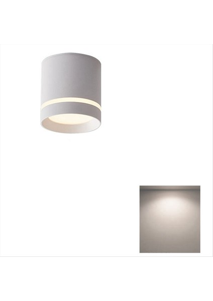 LED Düşük Spotlıght Tavın Işık Spotlıght 220V 12W Yüzey Mount Bağlanması Açık Beyaz (Yurt Dışından) fırsatları