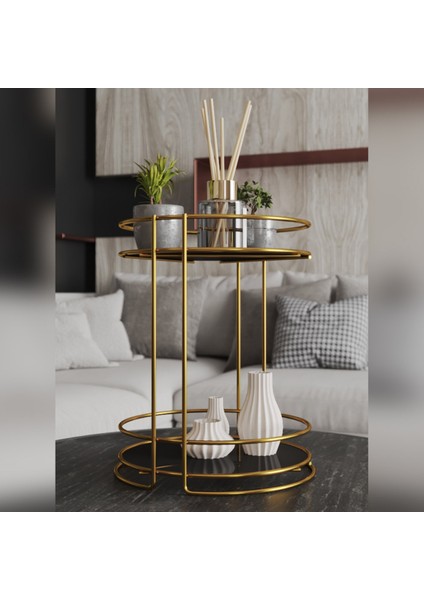 Iki Katlı Kozmetik Düzenleyici Organizer, Şık ve Pratik Saklama Çözümü fiyatları