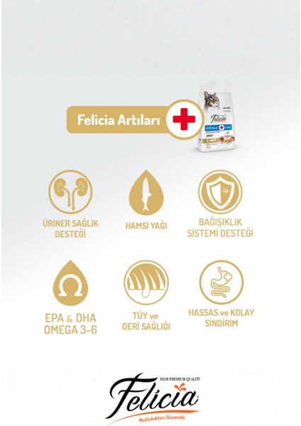 5 kg Somonlu Hipoalerjenik Düşük Tahıllı Yetişkin Kedi Maması 25LI Kedi Ödülü Krema 15LI Lolipop indirimleri