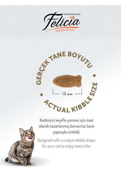 5 kg Somonlu Hipoalerjenik Düşük Tahıllı Yetişkin Kedi Maması 25LI Kedi Ödülü Krema 15LI Lolipop