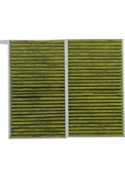 110768100A 110768100B 110768100C Tesla Motorlar Için Kabin Hava Filtresi Model 3 06 2018- Model Y 01 2021 (Yurt Dışından)