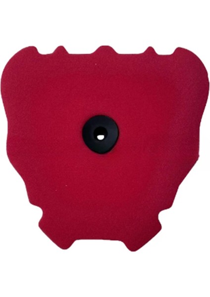 BR9-14451-00-00 Fantic XXF250 XXF450 XEF250 XEF450 Xxf Xef 250 450 Için Motosiklet Yıkanabilir Hava Filtresi Giriş Temizleyici (Yurt Dışından) indirimleri