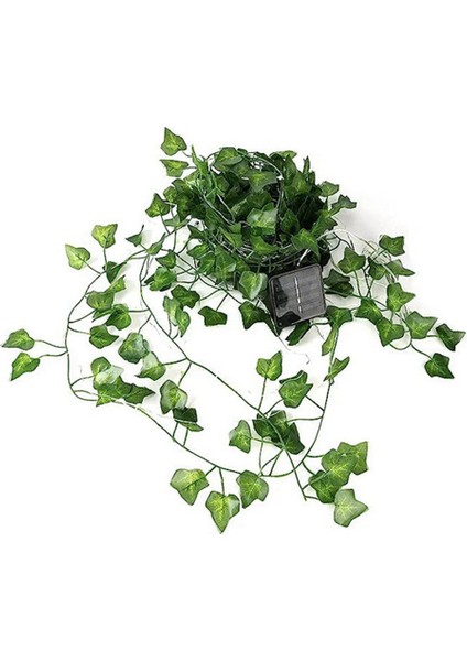 Güneş Enerjili Rattan Işık Zinciri Dış Mekan Rattan Dekoratif Işık Zinciri 5m (Yurt Dışından)