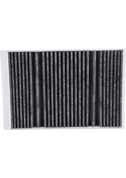 Mercedes Benz W222 S300 S400 S500 Coupe Sınıfı Için 2 Adet Araç Aktif Karbon Filtresi Hava Filtresi A2228300318 A2228300418 (Yurt Dışından) indirimleri
