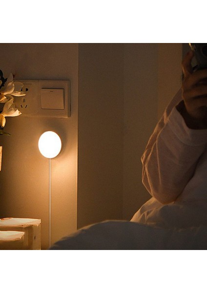 Akıllı LED Dolap Işıkları, Karavan Işıkları Buz Hokeyi Dolapları (Yurt Dışından) modelleri