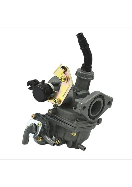 DY100 Motor Üç Tekerlekli Bisiklet Için PZ19 Motosiklet Karbüratör Parçaları 110 (Yurt Dışından)