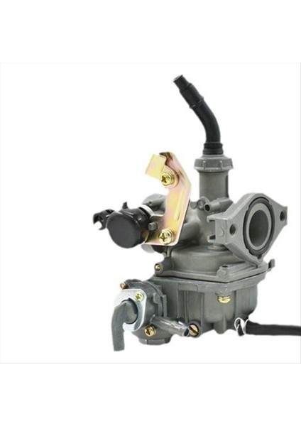 DY100 Motor Üç Tekerlekli Bisiklet Için PZ19 Motosiklet Karbüratör Parçaları 110 (Yurt Dışından) fiyatları