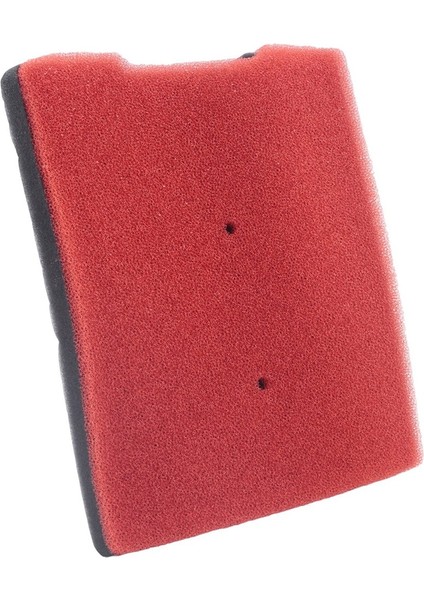 Kawasaki Kle 300 Versys X300 2017-2021 Için Sünger Hava Temizleme Filtresi (Yurt Dışından)