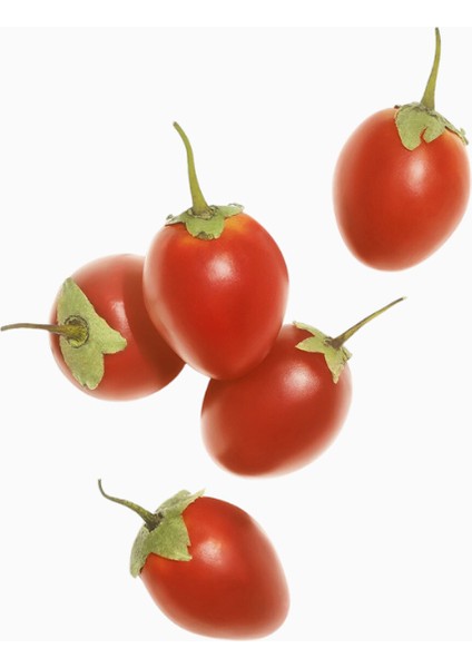 Nutri Enrich Besleyici Şampuan Kuru ve Zayıf Saçlar Için fiyatları