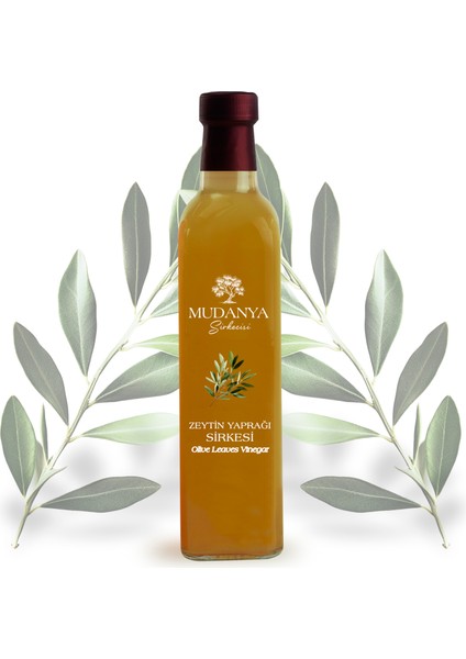 Doğal Fermantasyon Katkısız Zeytin Yaprağı Sirkesi 500 ml
