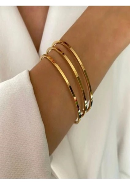 Zirkon Taşlı Ankakuşu Ajda Bileklik Charm fiyatları