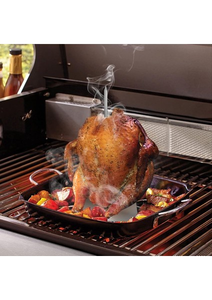 Barbekü Şiş Paslanmaz Çelik Dikey Et Şiş Standı Şiş Iç ve Dış Mekan Fırın Izgaraları Için Barbekü Izgarası (Yurt Dışından) fırsatları