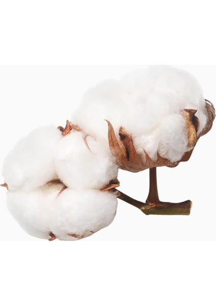 Volume Boost Hafif Volüm Maskesi Ince Telliler Için modelleri