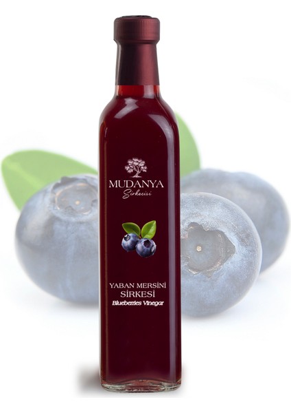 Doğal Fermantasyon Katkısız Yaban Mersini Sirkesi 500 ml