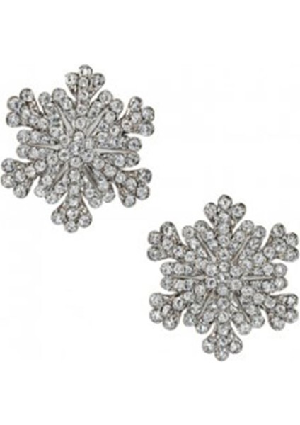 Taşlı Kartanesi Mini Mandal Toka 2'li Paket fiyatları