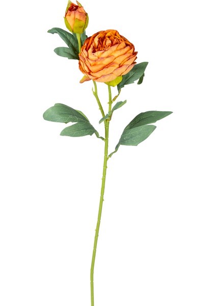 Yapay Şakayık, Turuncu - Tomurcuklu, 10X66 cm