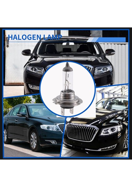 Araba Ampul Işık Lambası H7 (477/499) 12V 55W PX26D Halojen Xenon Ampul (Yurt Dışından) indirimleri