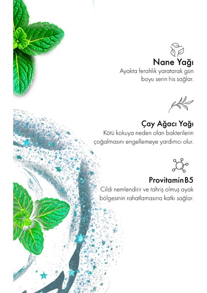 Ayak Ve Ayakkabı Koku Önleyici Koku Giderici Mantar Engelleyici Sprey Ayakkabı Deodorantı 100ml indirimleri