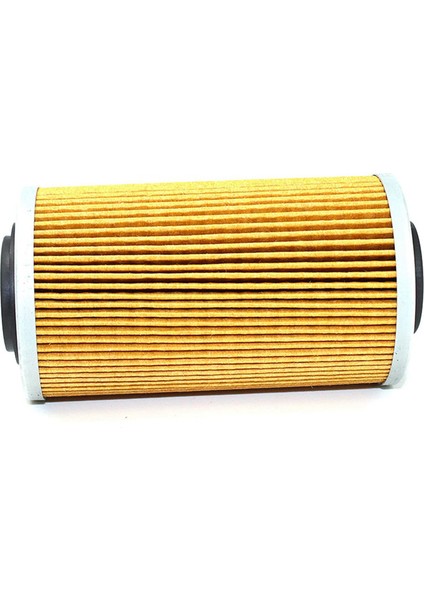 420956741 Sea Doo 130 Için 2x Motor Yağı Filtresi 130 260HP 4 Tec Rotax Seadoo (Yurt Dışından) fırsatları