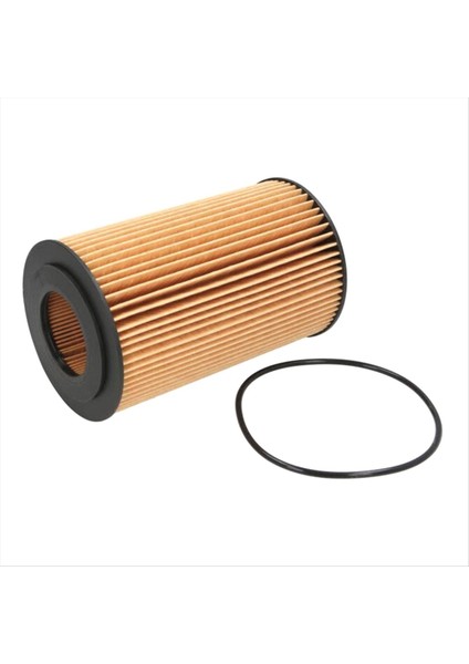 200V05504-0122 Sinotruk T5G Howo T7H Man MC11 MC13 Motor Kamyon Aksesuarları Parçalar Yağ Filtre Elemanları (Yurt Dışından)