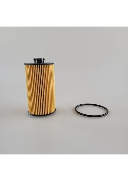 Chevy Aveo Için 20 Yağ Filtresi Örneği Sonic Trax Buick Pontiac Satürn (Yurt Dışından) modelleri