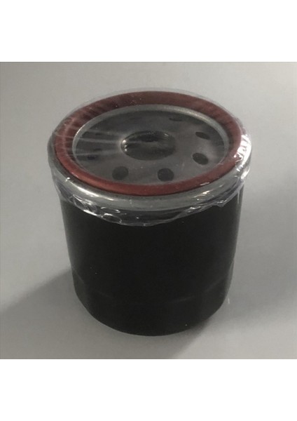 4 Paket Biçme Makineleri Yağ Filtresi HG52114 600976 109-3321 Hidro Dişli 52114 Filtre 43512 Çim Biçme Makinesi Aksesuarları Hidrolik Filtreler (Yurt Dışından)