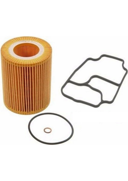 Bmw E39 E46 E60 X3 X5 Z3 Z4 525I 530I &amp 15X Motor Vana Kapak Cıve Controllar (Yurt Dışından) fiyatları