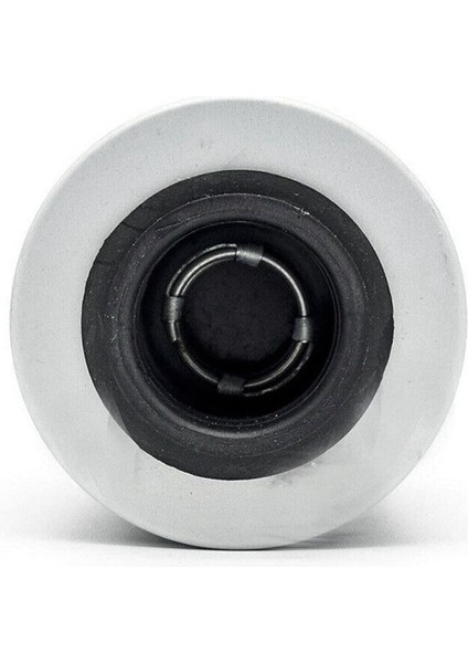 3x 420956124 2017 Için Petrol Filtresi Ski-Doo Expedition Le Se Sport 600 900 1200 (Yurt Dışından) fiyatları