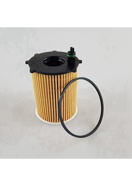 Citroen Ds3 Ds4 Xsara Ford Ecosport Mazda 5 Peugeot 407 508 5008 Ranch Suzuki Fiat Volvo Için 20 Pcs Yağ Filtresi (Yurt Dışından) indirimleri