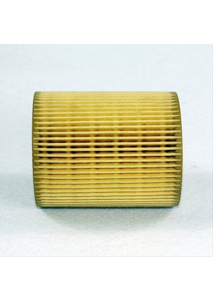 2set LR013148 Land Rover Lr3 Lr4 Range Range Sport Dizel 3 0 V6 Td6 Yağ Filtre (Yurt Dışından) modelleri