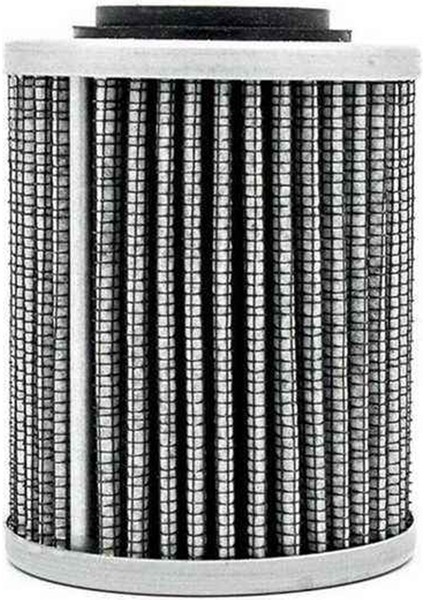 2 Pcs 420956124 2017 Skı-Doo Expedition Le Se Sport 600 900 1200 Için Petrol Filtresi (Yurt Dışından) fırsatları