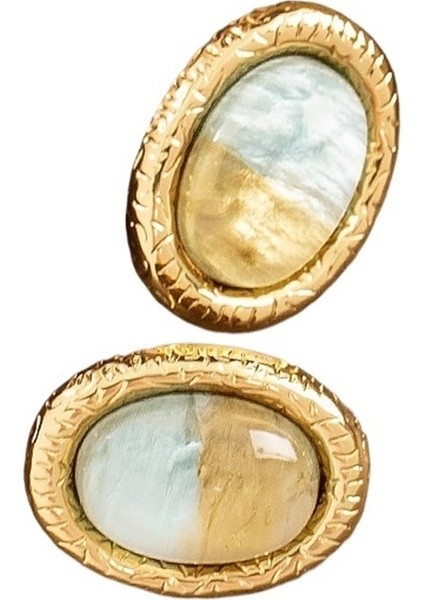 Kadınlar Için S925 Ayar Gümüş Geometrik Oval Reçine Küpe (Yurt Dışından)