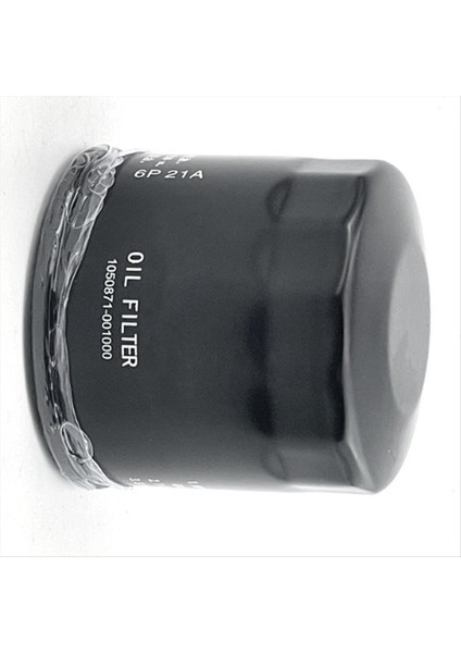 Zontes Için Motosiklet Motor Yağı Filtresi ZT368G 368G Yağ Filtresi Motosiklet Aksesuarları (Yurt Dışından) modelleri