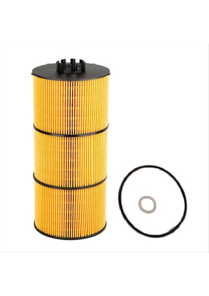 Cascadia Carquest Için Motor Yağı Filtresi Detroit Fleetguard Hastings Freightliner DD13 DD15 Dd6 84909 A4731800909 (Yurt Dışından)