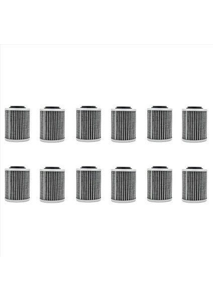 12 Pcs 420956124 2017 Skı-Doo Expedition Le Se Sport 600 900 1200 Için Petrol Filtresi (Yurt Dışından)