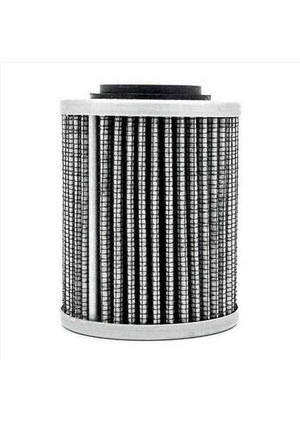 12 Pcs 420956124 2017 Skı-Doo Expedition Le Se Sport 600 900 1200 Için Petrol Filtresi (Yurt Dışından) modelleri