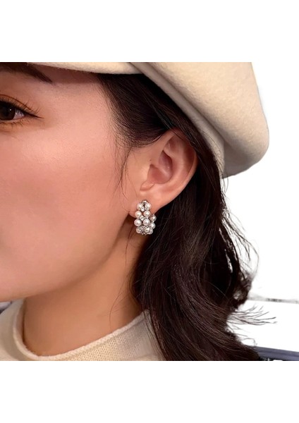 Tam Süslenmiş Çift Sıra Kübik Zirkon Inci Küpe (Yurt Dışından) fiyatları