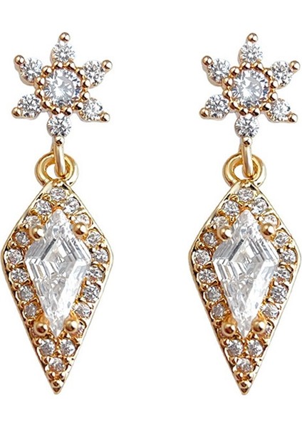 Kar Tanesi Buzlu Kristal Zirkonyum 925 Gümüş Iğne Küpeler (Yurt Dışından)