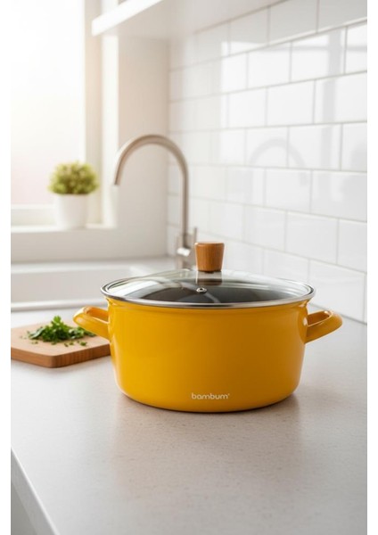 Nostalji - Kızartma Tenceresi Hardal 22 cm