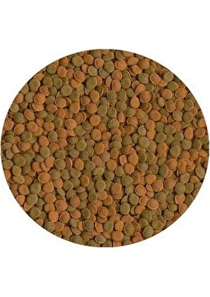 Wafermıx Sachet 15 Gr Kaliteli Dip Balıkları İçin Tablet Yem Beslenme Türü modelleri