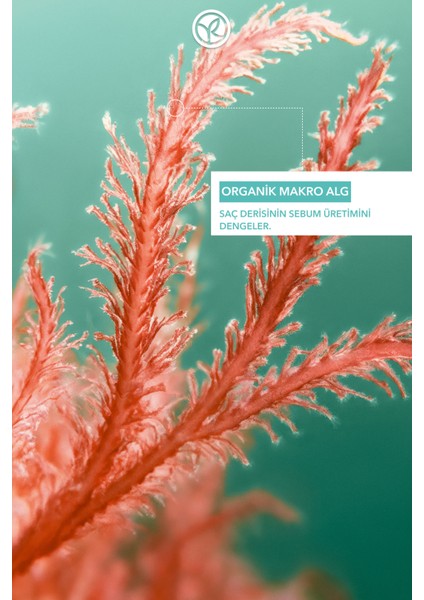 Arındırıcı Kuru Şampuan - Tüm Saçlar / Purete - TUZSUZ-93680 modelleri